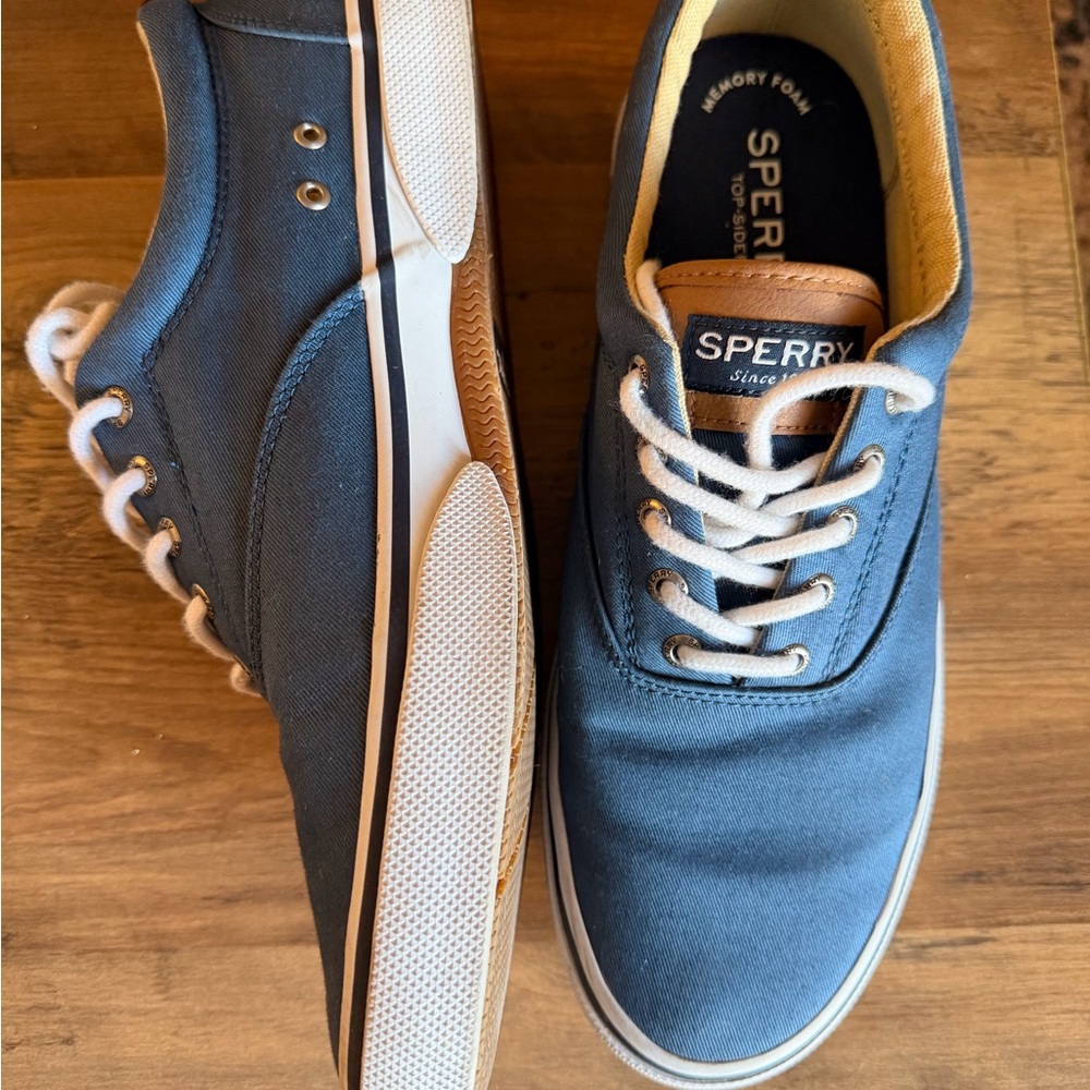 Sperry Men's Navy Canvas Sneakers